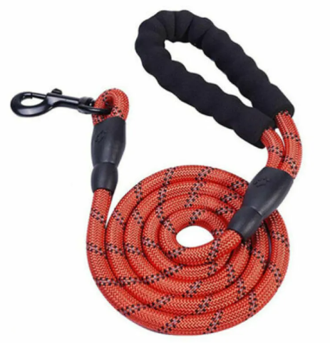 Trendy Tron Reflective Braided Dog Leash