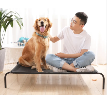 Washable Plush Comfort Dog Bed