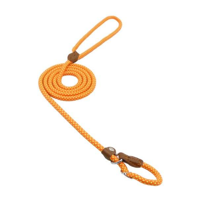 Adjustable Nylon Dog Collar and Leash Set