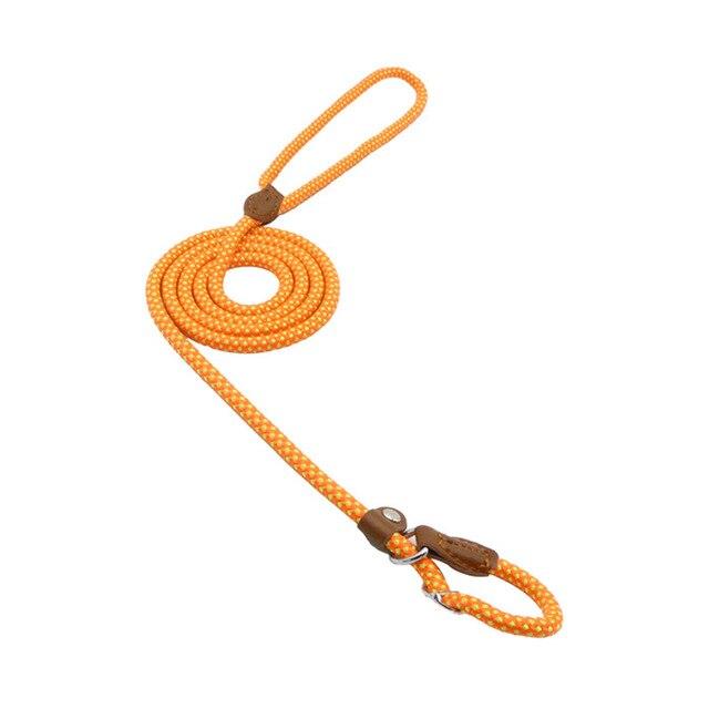 Adjustable Nylon Dog Collar and Leash Set