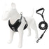 Trendy Tron Reflective and Breathable Dog Leash and Rope
