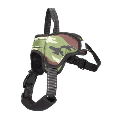 Trendy Tron Medium and Large Dog Leash