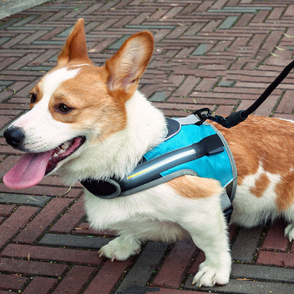 Trendy Tron Pet Dog Leash for Walking and Training