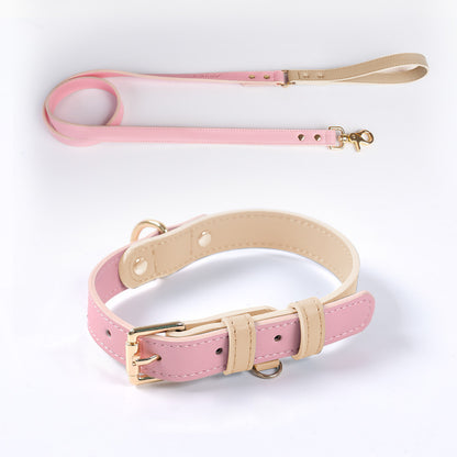 Trendy Tron Leather Dog Leash &amp; Collar