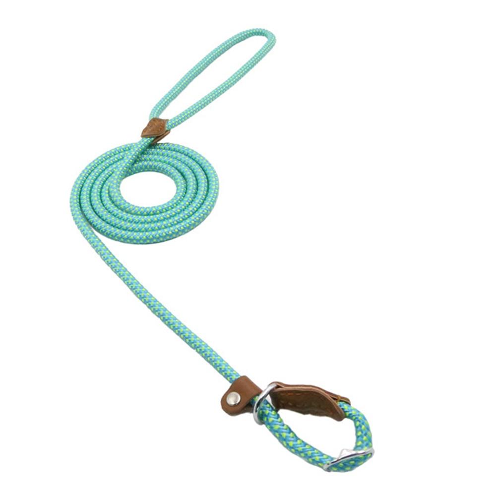 Adjustable Nylon Dog Collar and Leash Set