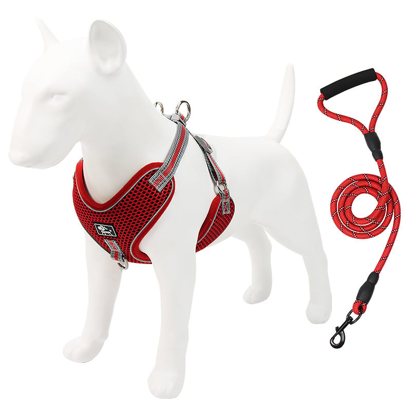 Trendy Tron Reflective and Breathable Dog Leash and Rope