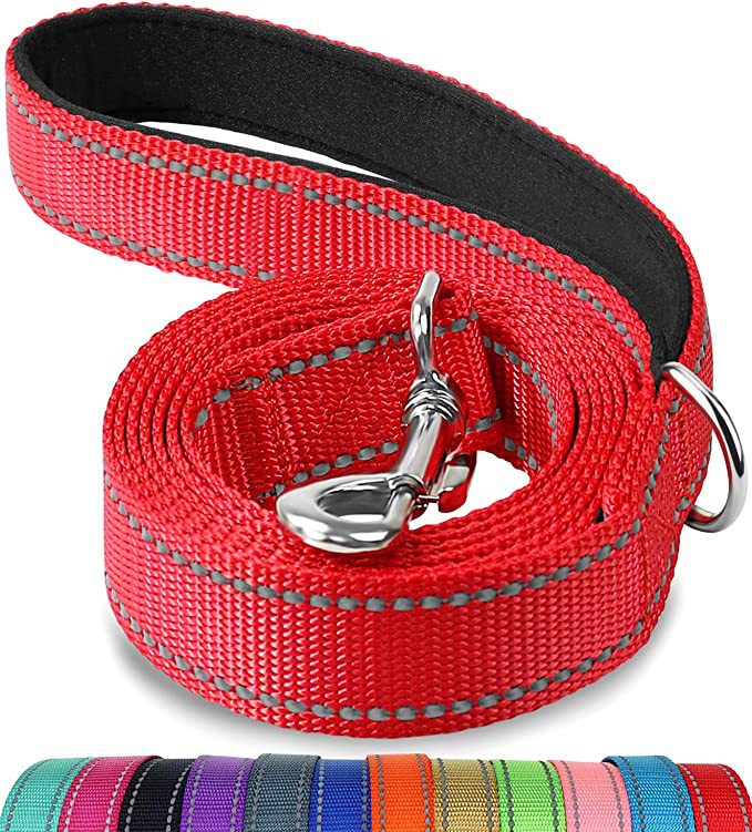 Trendy Tron Reflective Dog Leash with Hand Grip