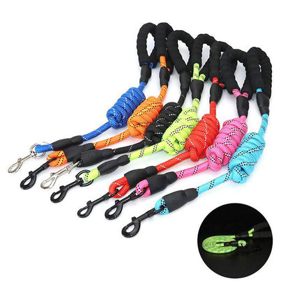 Trendy Tron 1.5M Reflective Dog Leash with Padded Handle