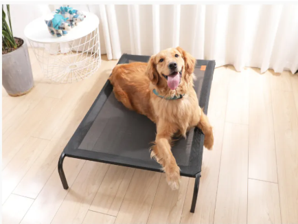 Washable Plush Comfort Dog Bed