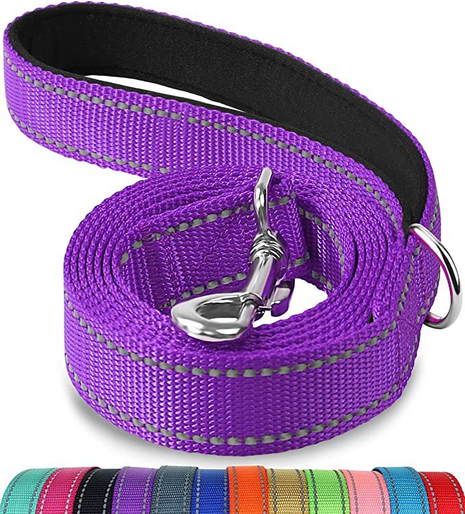Trendy Tron Reflective Dog Leash with Hand Grip