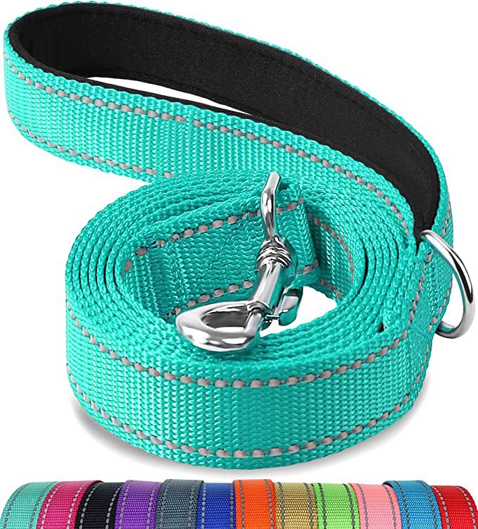 Trendy Tron Reflective Dog Leash with Hand Grip