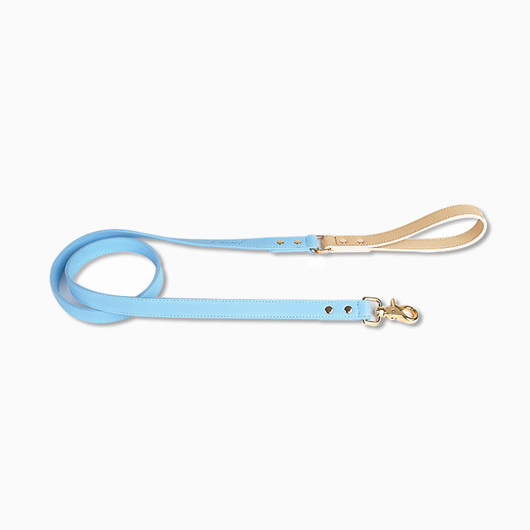 Trendy Tron Leather Dog Leash &amp; Collar