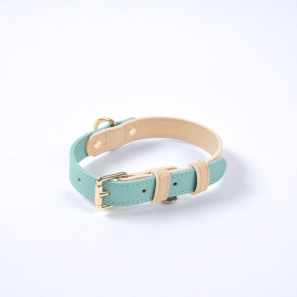 Trendy Tron Leather Dog Leash &amp; Collar