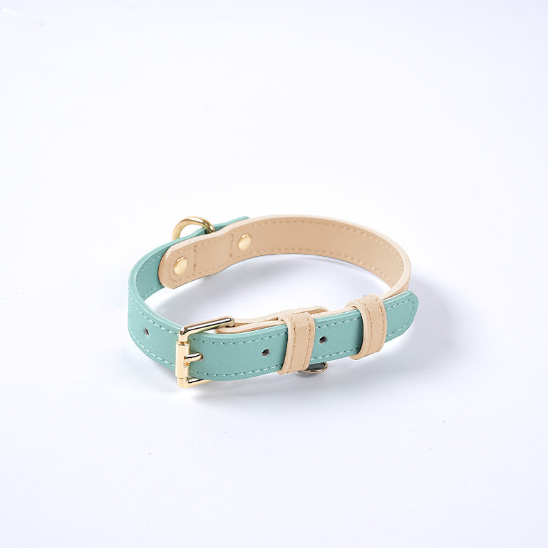 Trendy Tron Leather Dog Leash &amp; Collar