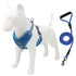 Trendy Tron Reflective and Breathable Dog Leash and Rope