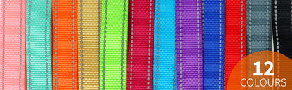 Trendy Tron Reflective Dog Leash with Hand Grip
