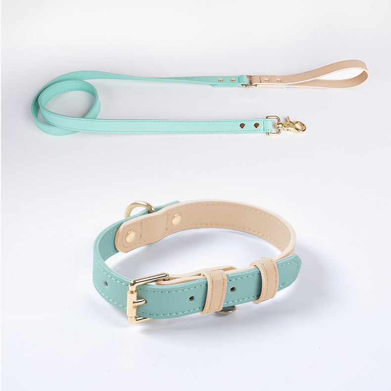 Trendy Tron Leather Dog Leash &amp; Collar
