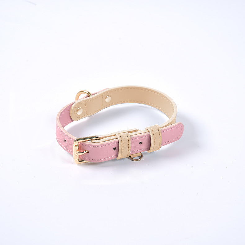 Trendy Tron Leather Dog Leash &amp; Collar
