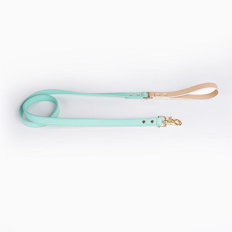 Trendy Tron Leather Dog Leash &amp; Collar