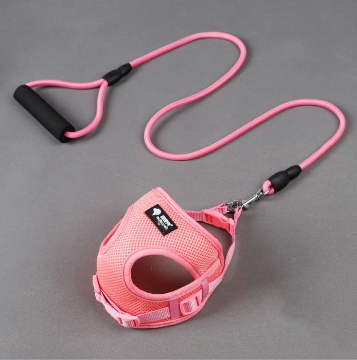 Trendy Tron Dog Leash and Collar Set for Pets