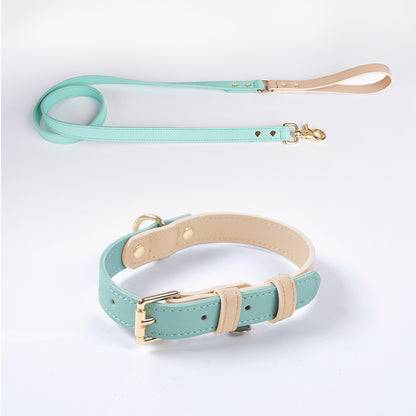 Trendy Tron Leather Dog Leash &amp; Collar