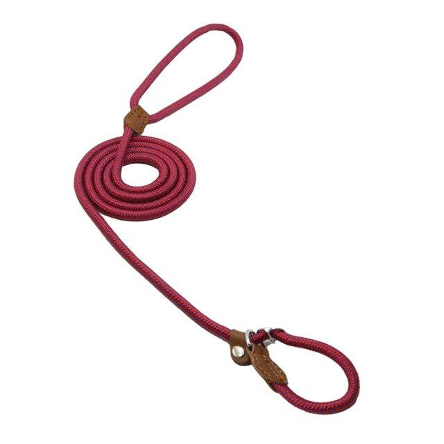 Adjustable Nylon Dog Collar and Leash Set