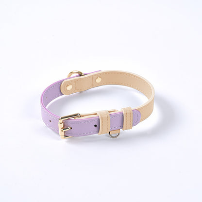 Trendy Tron Leather Dog Leash &amp; Collar