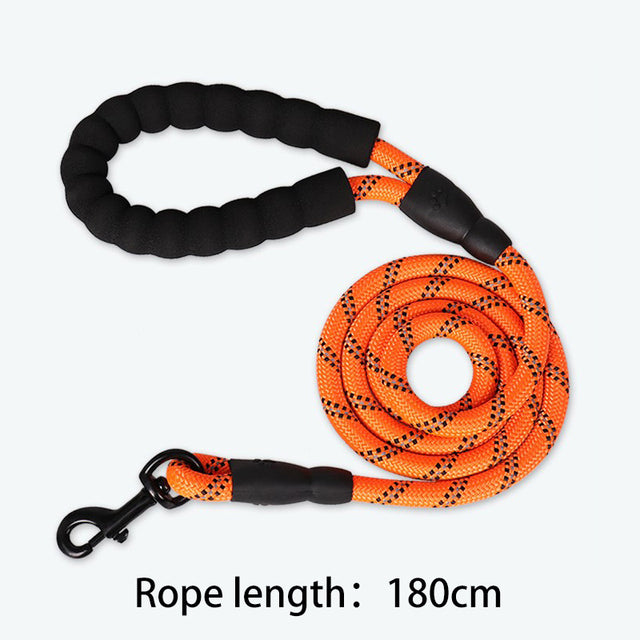 Trendy Tron 1.5M Reflective Dog Leash with Padded Handle