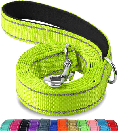 Trendy Tron Reflective Dog Leash with Hand Grip