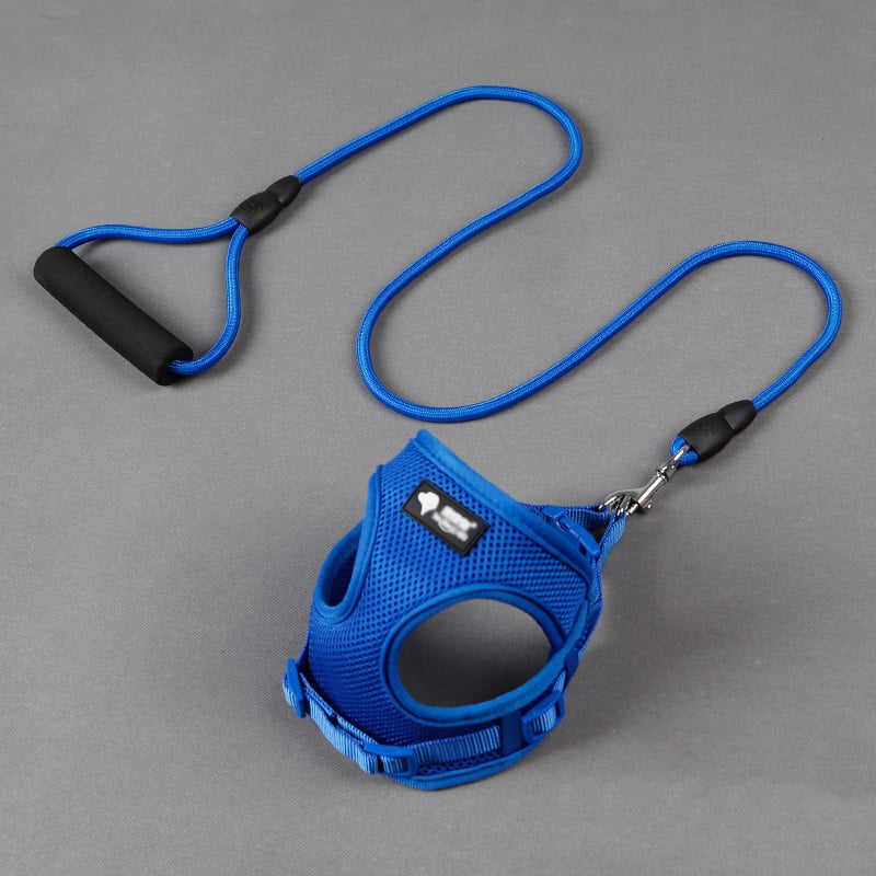 Trendy Tron Dog Leash and Collar Set for Pets